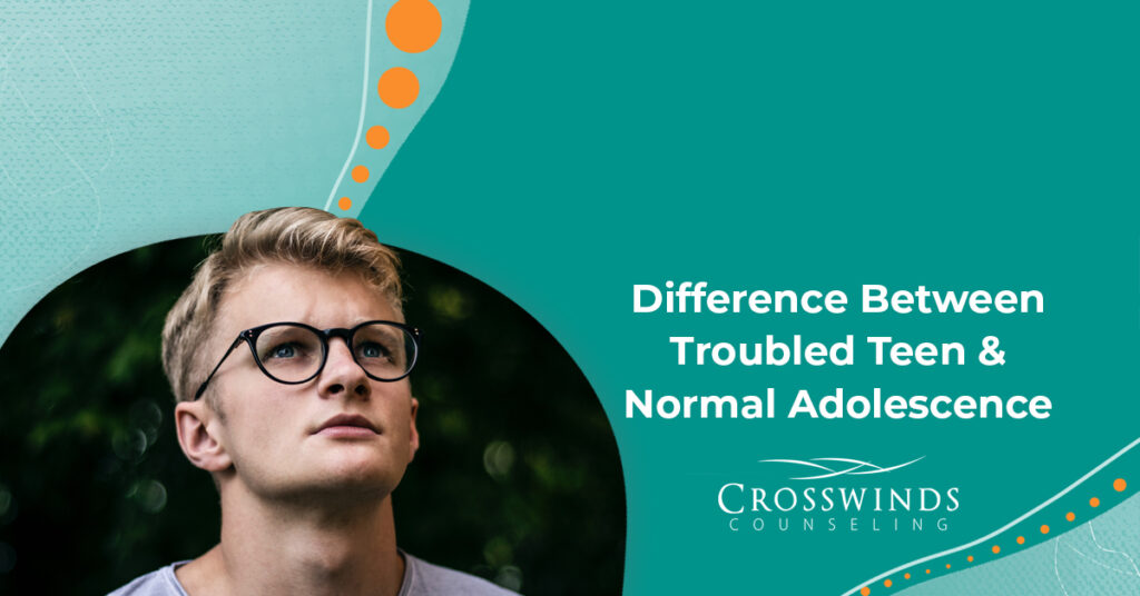 The Difference Between Troubled Teens & Normal Adolescence