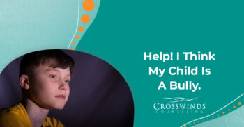 Help! I Think My Child Is A Bully