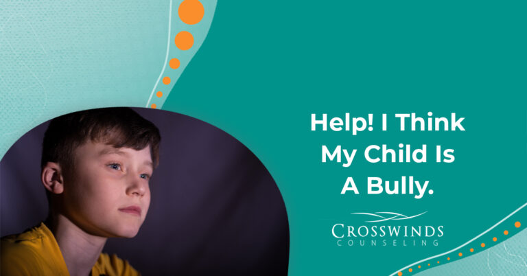 Help! I Think My Child Is A Bully