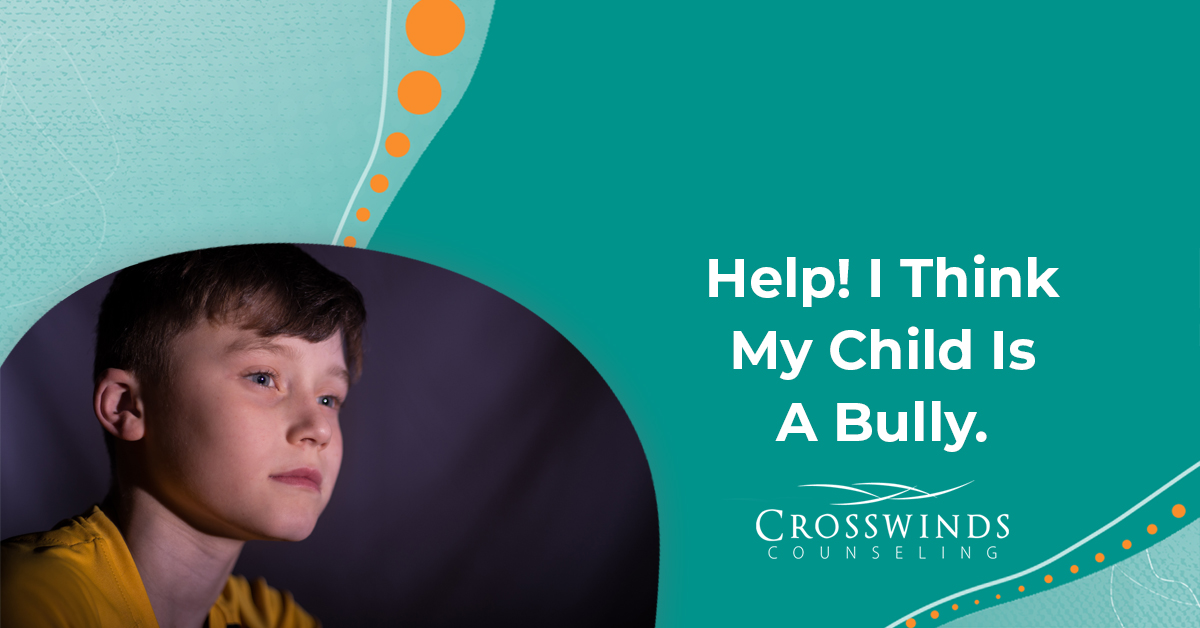 Help! I Think My Child Is A Bully