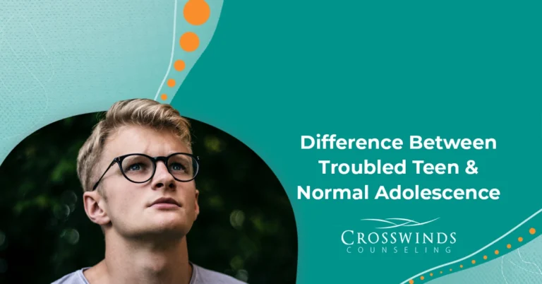 Difference Between Troubled Teen And Normal Adolescence