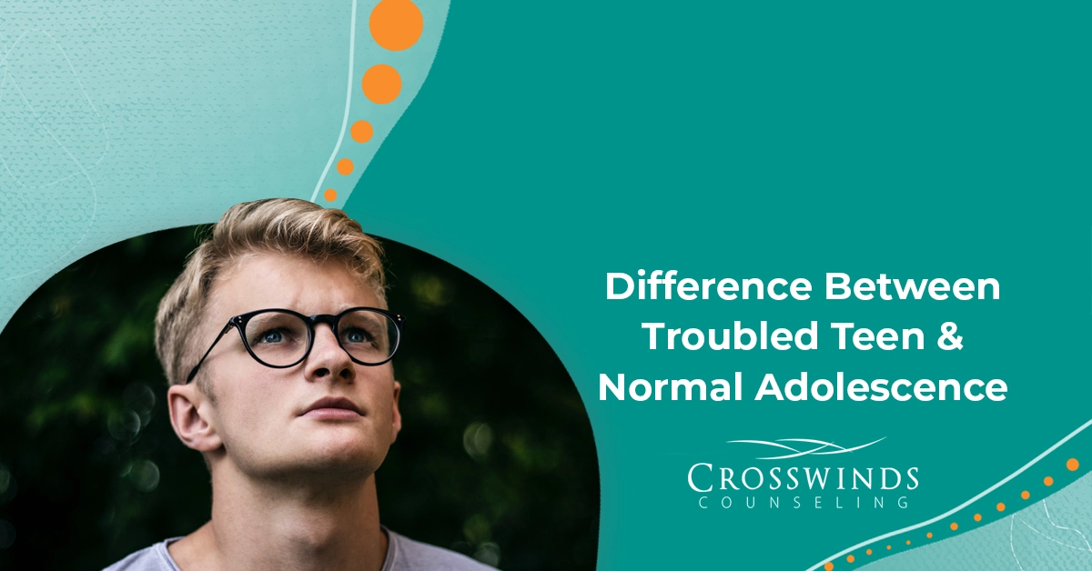 Difference Between Troubled Teen And Normal Adolescence