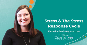 Stress And The Stress Response Cycle